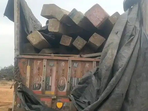 Mauganj News: मऊगंज में लकड़ी तस्करी गिरोह का पर्दाफाश, ड्राइवर समेत दो गिरफ्तार