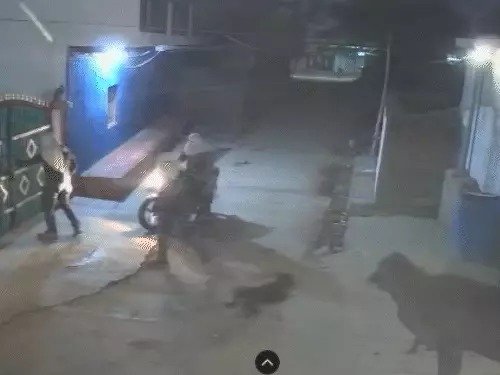 Satna News: सतना में किसान की गोली मारकर हत्या, आरोपियों का CCTV फुटेज सामने आया