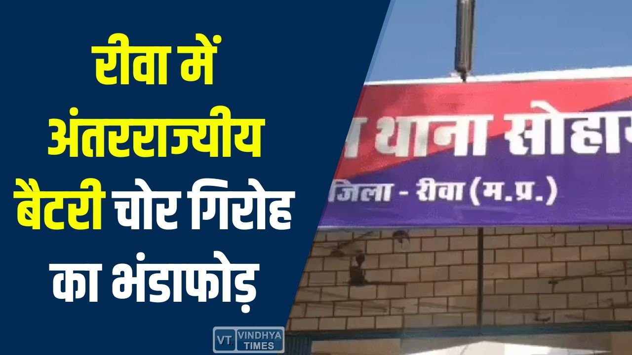 Rewa News: रीवा में अंतरराज्यीय बैटरी चोर गिरोह का भंडाफोड़, तीन आरोपी गिरफ्तार