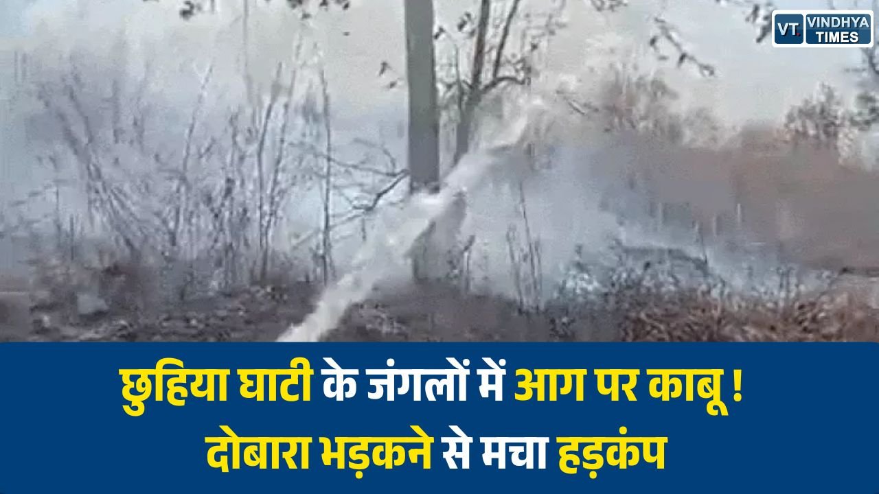 Rewa News: गोविंदगढ़ के छुहिया घाटी जंगलों में लगी आग पर नियंत्रण, दोबारा भड़कने से बढ़ी चिंता