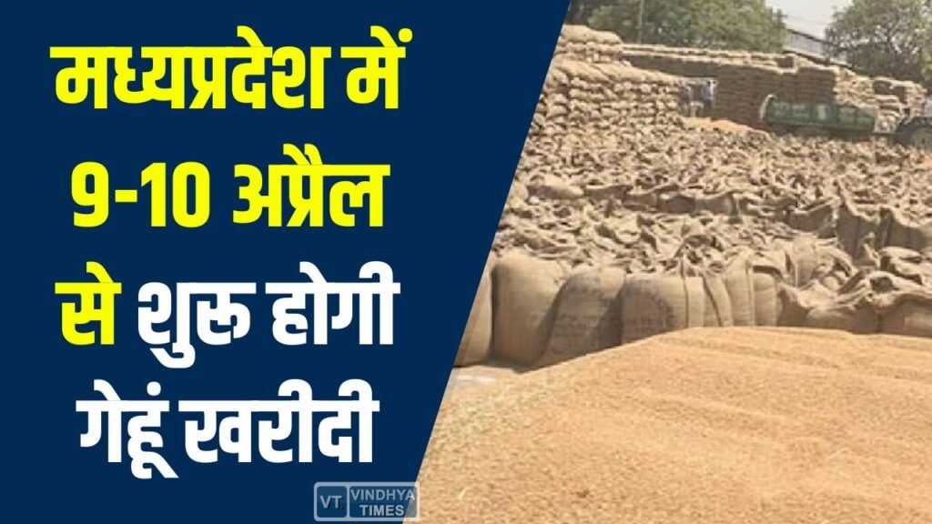 MP News: मध्यप्रदेश में 9-10 अप्रैल को से शुरू होगी गेहूं खरीदी, छोटे किसानों को मिलेगी प्राथमिकता