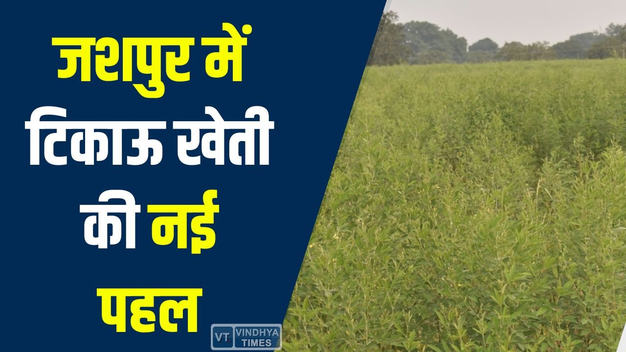 Jashpur News: जशपुर में टिकाऊ खेती की नई पहल, 600 हेक्टेयर में हरी खाद का प्रदर्शन