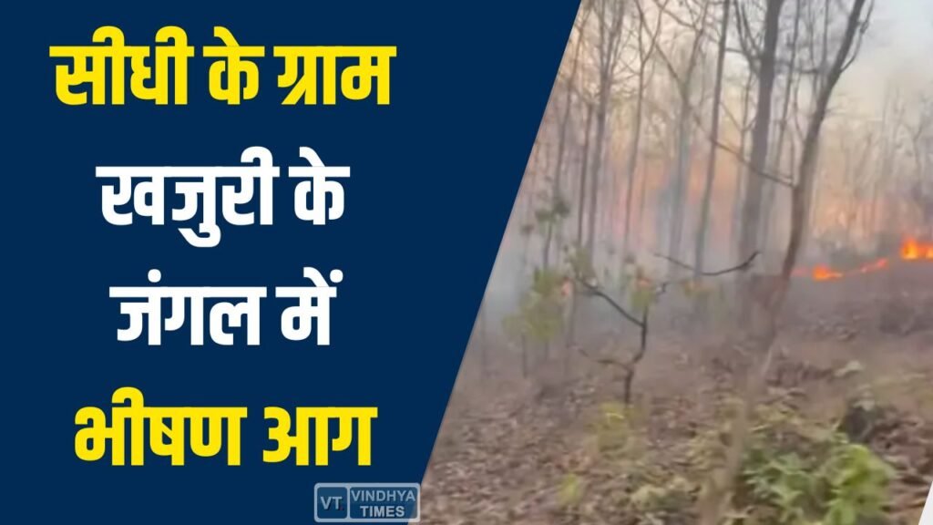 Sidhi News: सीधी के ग्राम खजुरी के जंगल में भीषण आग, 4 घंटे की मशक्कत के बाद 80% आग पर काबू