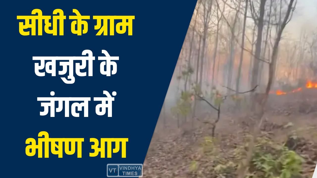 Sidhi News: सीधी के ग्राम खजुरी के जंगल में भीषण आग, 4 घंटे की मशक्कत के बाद 80% आग पर काबू