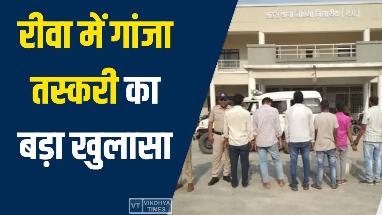 Rewa News: रीवा पुलिस की बड़ी कार्रवाई, दो लग्जरी कारों से 28 किलो गांजा जब्त