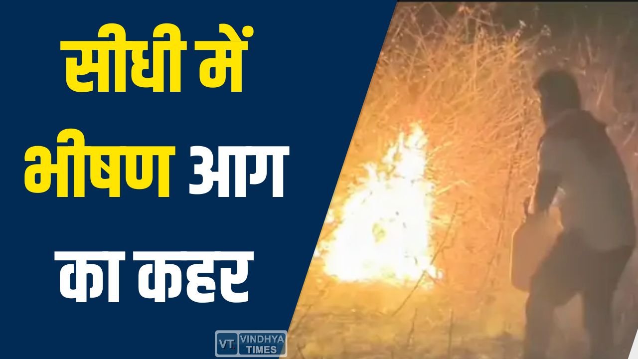 Sidhi News: सीधी में जंगल से भड़की आग ने मचाई तबाही, झोपड़ी और गौशाला जलकर खाक