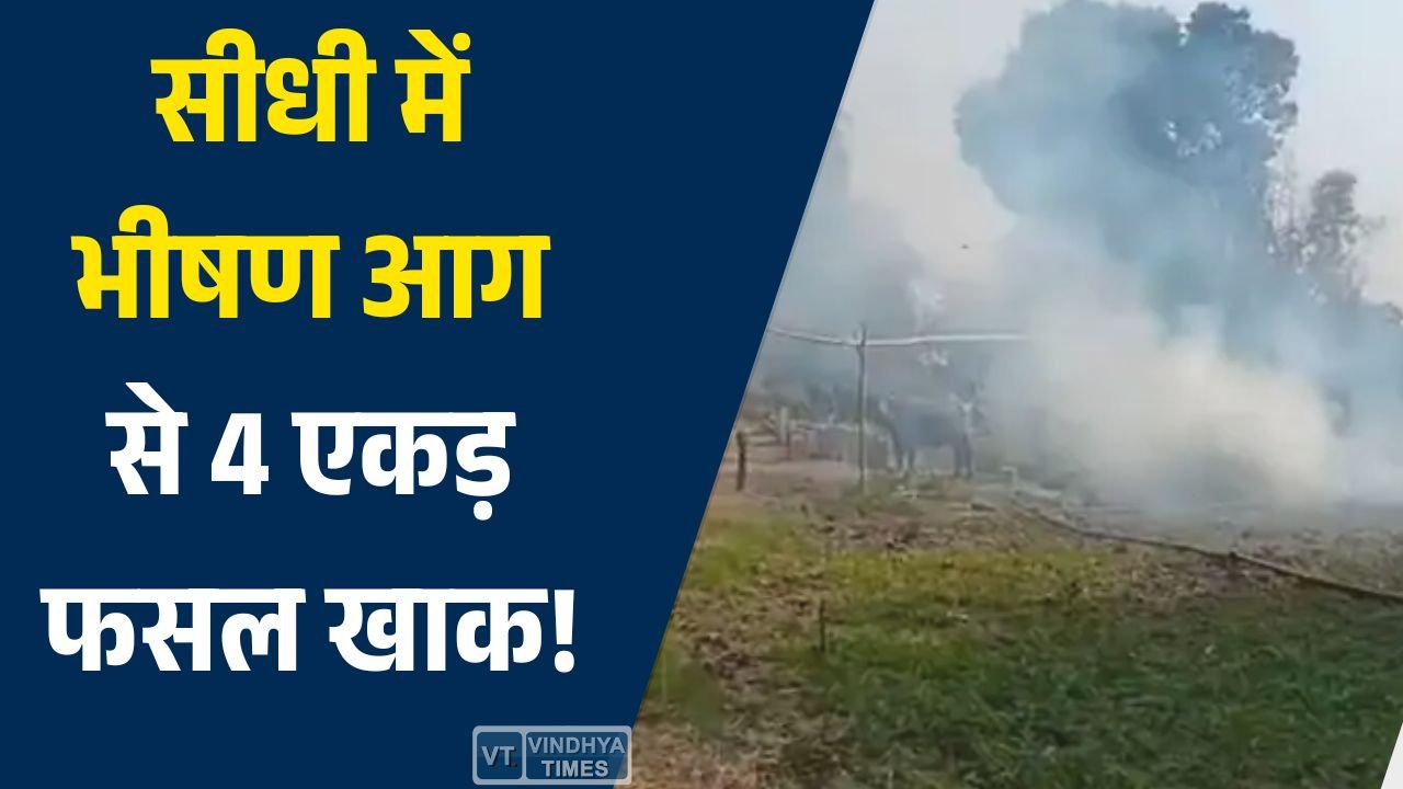 Sidhi News: सीधी के कपूरी बेदौलिहान गांव में आग का तांडव, शॉर्ट सर्किट से खलिहान में लगी भीषण आग
