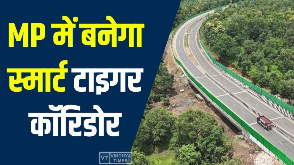 MP News: MP में टाइगर कॉरिडोर को मंजूरी, बैतूल से बरेठा घाट तक 22KM फोरलेन से सफर होगा आसान