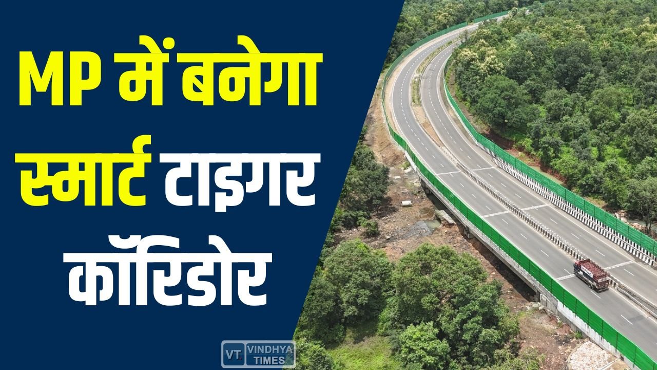 MP News: MP में टाइगर कॉरिडोर को मंजूरी, बैतूल से बरेठा घाट तक 22KM फोरलेन से सफर होगा आसान