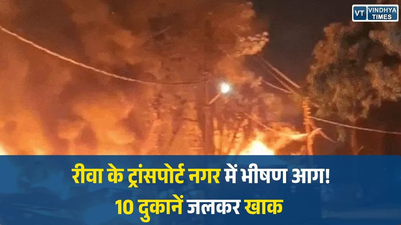 Rewa News: ट्रांसपोर्ट नगर में आग का कहर, शॉर्ट सर्किट से लगी आग, 10 दुकानें जलकर राख