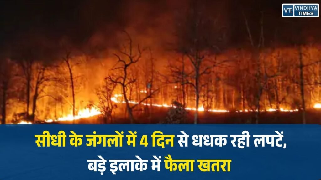Sidhi News: सीधी के जंगलों में 4 दिन से धधक रही लपटें, बड़े इलाके में फैला खतरा