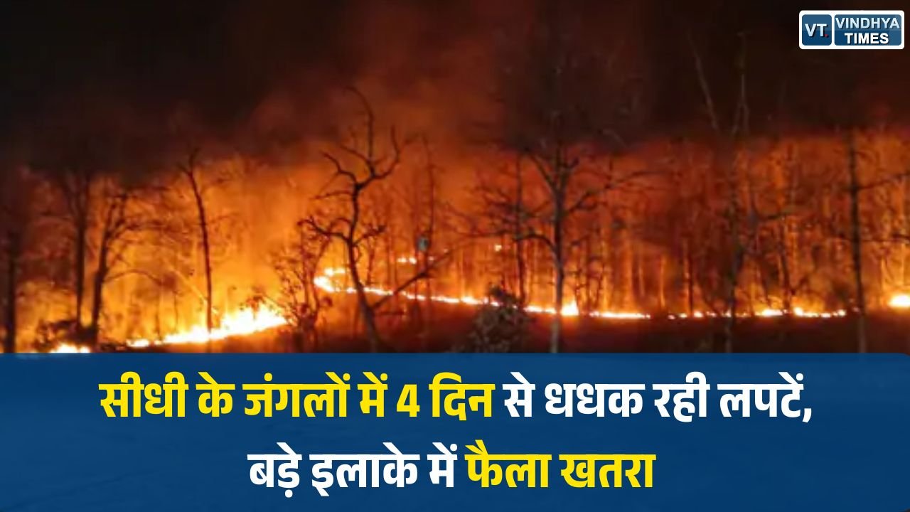 Sidhi News: सीधी के जंगलों में 4 दिन से धधक रही लपटें, बड़े इलाके में फैला खतरा