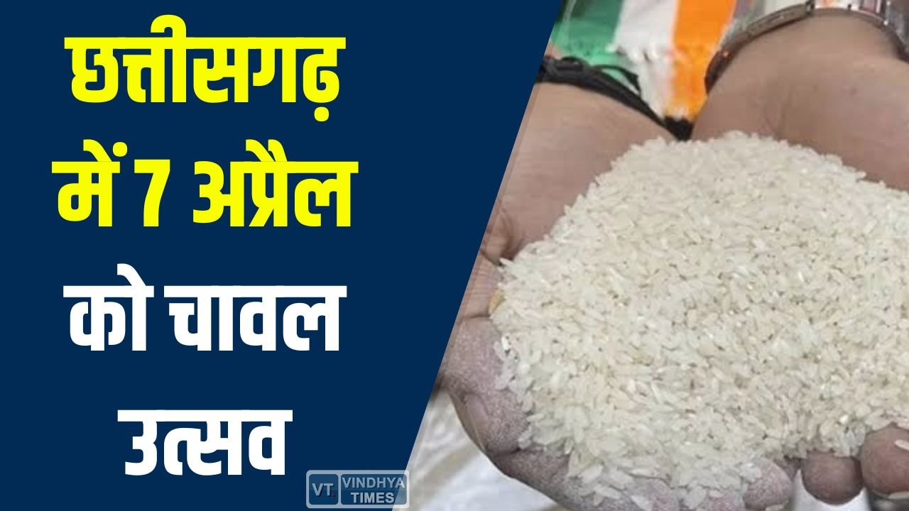 CG News: छत्तीसगढ़ में 7 अप्रैल को चावल उत्सव, तीन महीने का राशन एकमुश्त वितरण