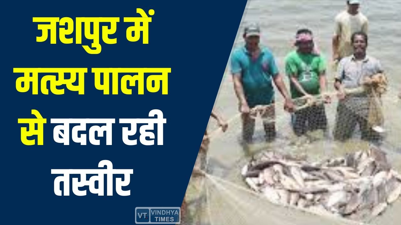 CG News: जशपुर में मत्स्य पालन से बदल रही तस्वीर, ग्रामीण अर्थव्यवस्था को मिली नई ताकत