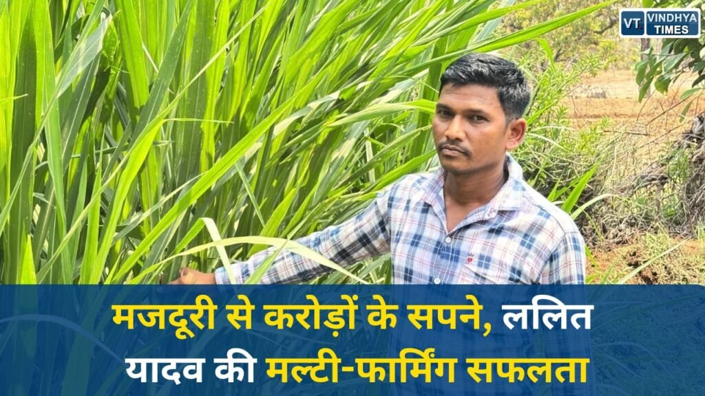 CG News: 6 गायों से 25 तक का सफर, दंतेवाड़ा के ललित यादव बने डेयरी और मल्टी-फार्मिंग के रोल मॉडल