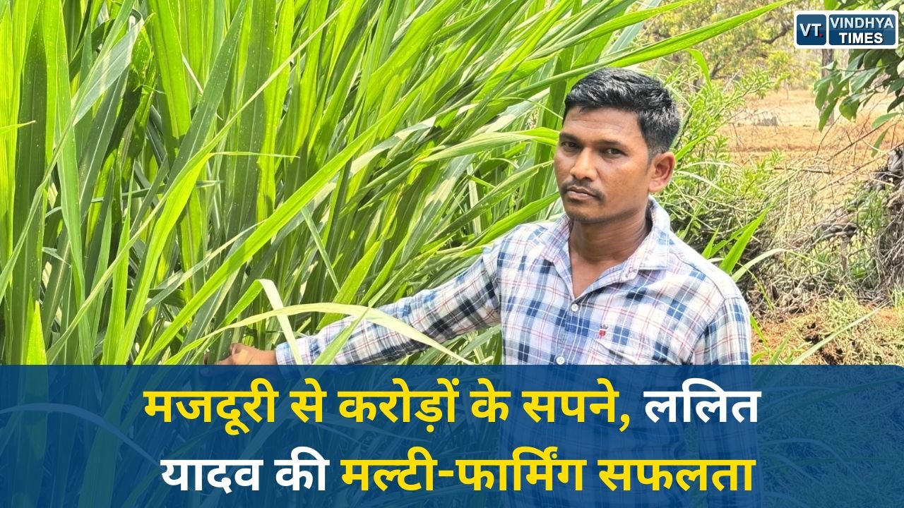 CG News: 6 गायों से 25 तक का सफर, दंतेवाड़ा के ललित यादव बने डेयरी और मल्टी-फार्मिंग के रोल मॉडल