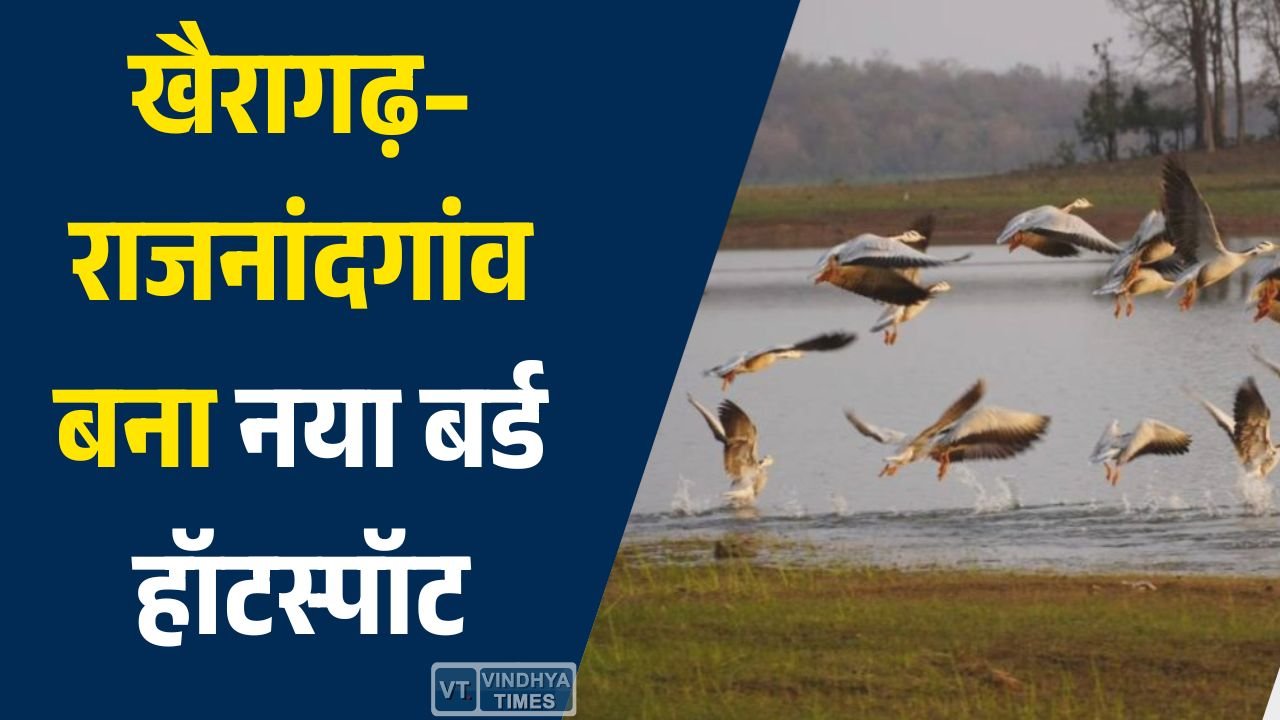 CG News: खैरागढ़–राजनांदगांव बना नया बर्ड हॉटस्पॉट, 296 प्रजातियों का ऐतिहासिक रिकॉर्ड