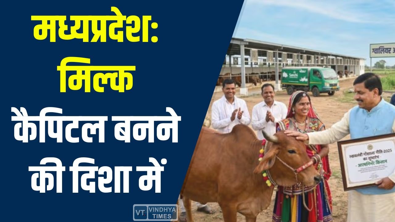 MP News: मध्यप्रदेश मिल्क कैपिटल बनने की दिशा में, स्वावलंबी गौशालाओं और डेयरी विकास से किसानों की आय बढ़ाने की योजना
