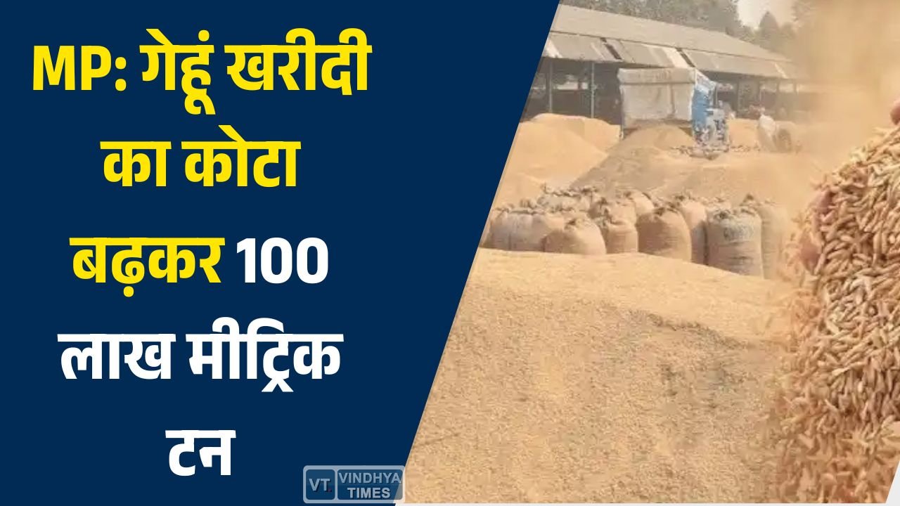 MP News: गेहूं खरीदी का कोटा बढ़कर 100 लाख मीट्रिक टन, किसानों को मिलेगा बड़ा लाभ