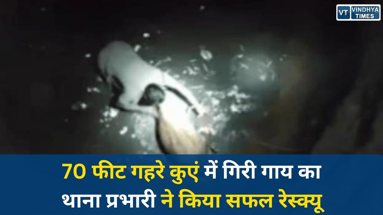 Rewa News: मऊगंज में 70 फीट गहरे कुएं से सफल रेस्क्यू, थाना प्रभारी ने खुद उतरकर बचाई गाय की जान