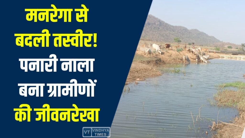 CG News: सूरजपुर में पनारी नाले का जीर्णोद्धार, मनरेगा से 1200 ग्रामीणों को मिला पेयजल और सिंचाई लाभ