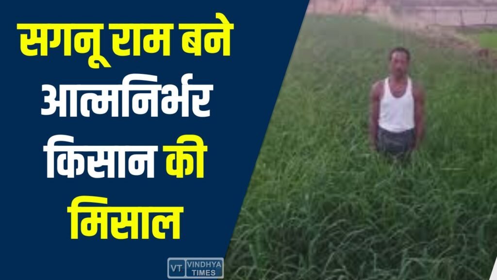 CG News: मनरेगा से सफलता की कहानी, डबरी, मछली पालन और बहुफसली खेती से सगनू राम बने प्रेरणास्रोत