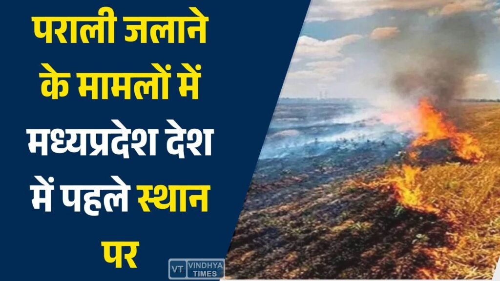 MP News: पराली जलाने के मामलों में मध्यप्रदेश देश में पहले स्थान पर, 20 हजार से ज्यादा घटनाएं दर्ज