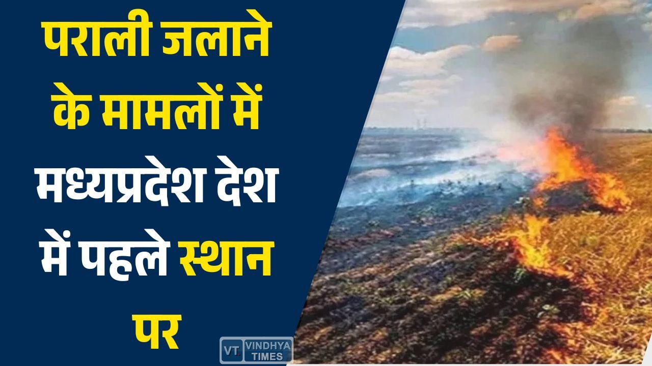 MP News: पराली जलाने के मामलों में मध्यप्रदेश देश में पहले स्थान पर, 20 हजार से ज्यादा घटनाएं दर्ज