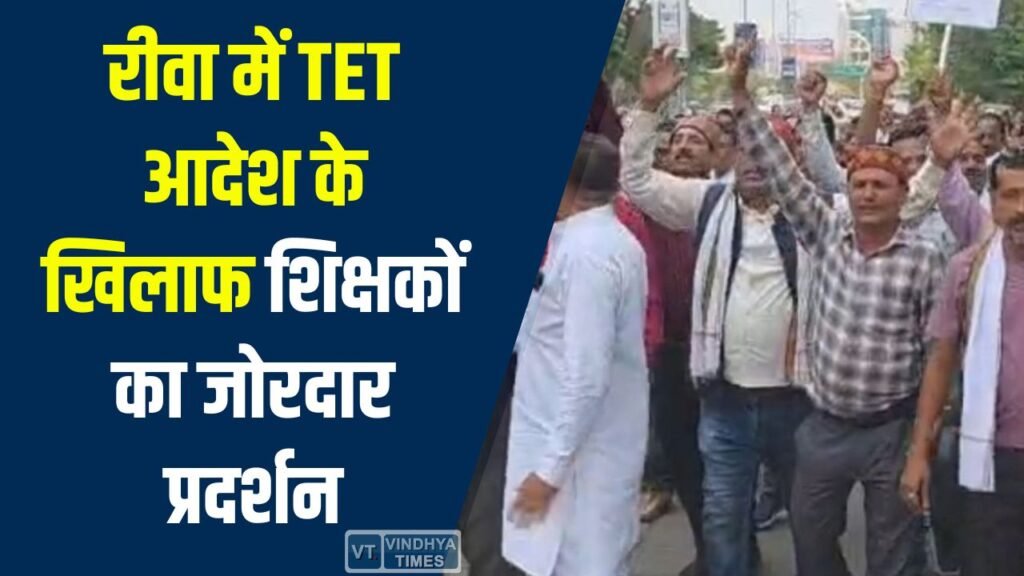 Rewa News: रीवा में TET आदेश के खिलाफ शिक्षकों का जोरदार प्रदर्शन, कलेक्ट्रेट में सौंपा ज्ञापन