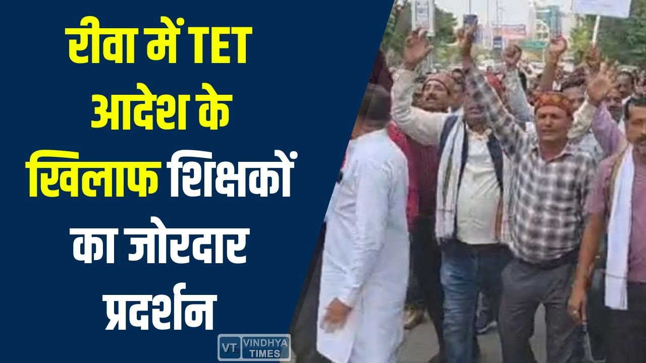 Rewa News: रीवा में TET आदेश के खिलाफ शिक्षकों का जोरदार प्रदर्शन, कलेक्ट्रेट में सौंपा ज्ञापन