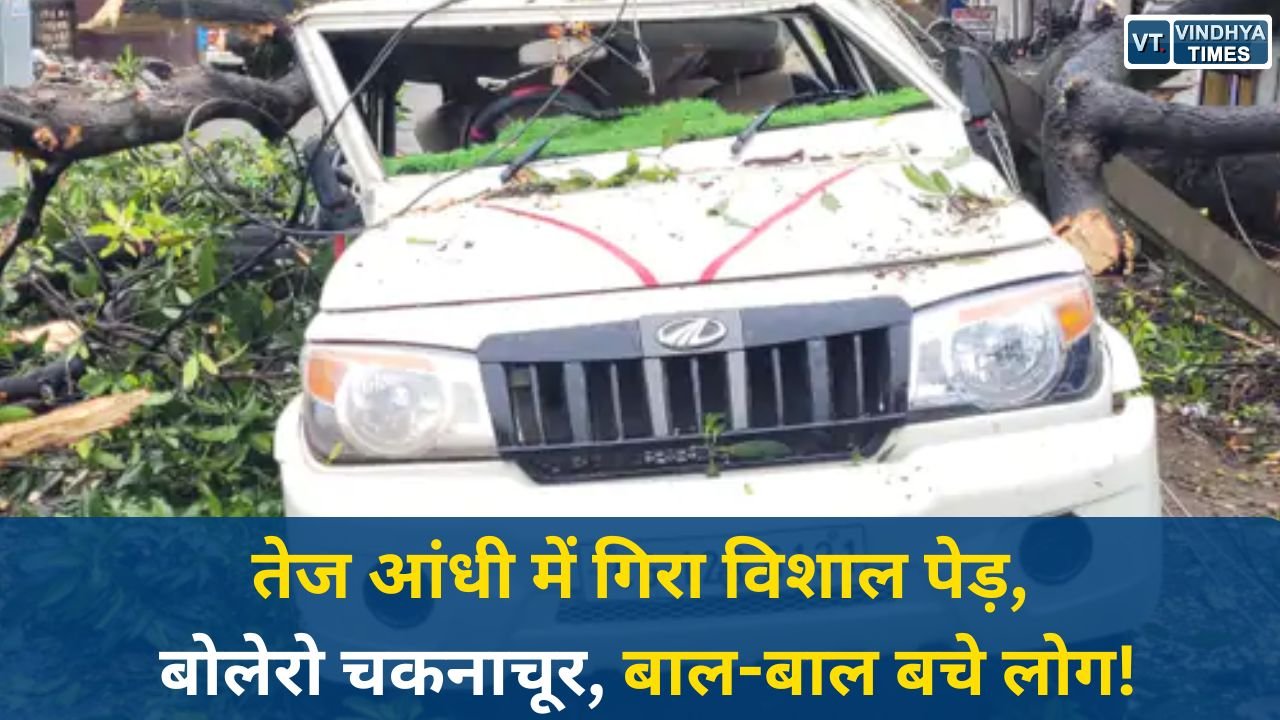 Sidhi News: सीधी में बड़ा हादसा टला, आंधी-बारिश के बीच सड़क पर गिरा आम का पेड़, बोलेरो और बाइक क्षतिग्रस्त
