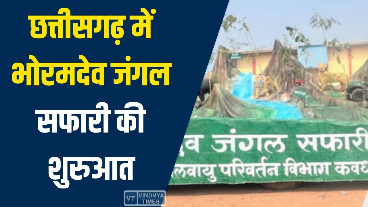 CG News: छत्तीसगढ़ में भोरमदेव जंगल सफारी की शुरुआत, 35 किमी लंबे रूट पर मिलेगा रोमांचक एडवेंचर अनुभव