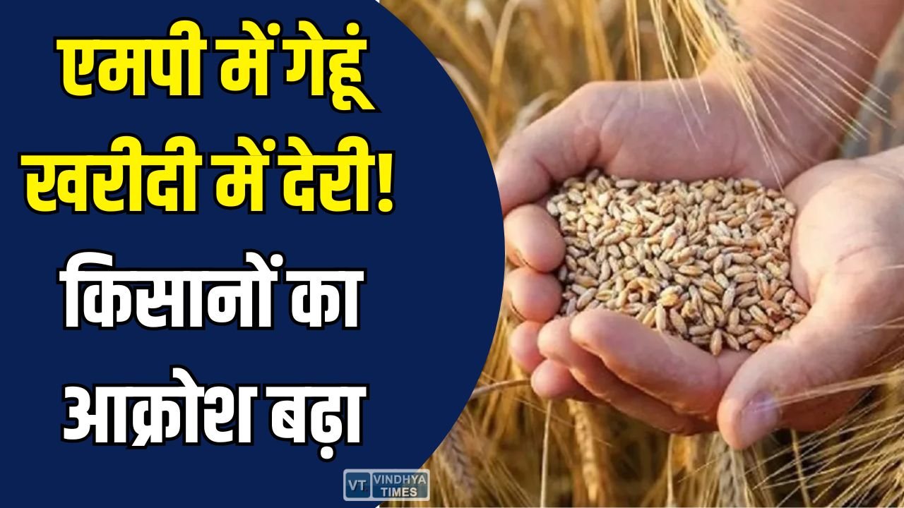 MP News: बीजेपी विधायक डॉ. चिंतामणि मालवीय ने मुख्यमंत्री को लिखा खुला पत्र, किसानों के हित में की मांग