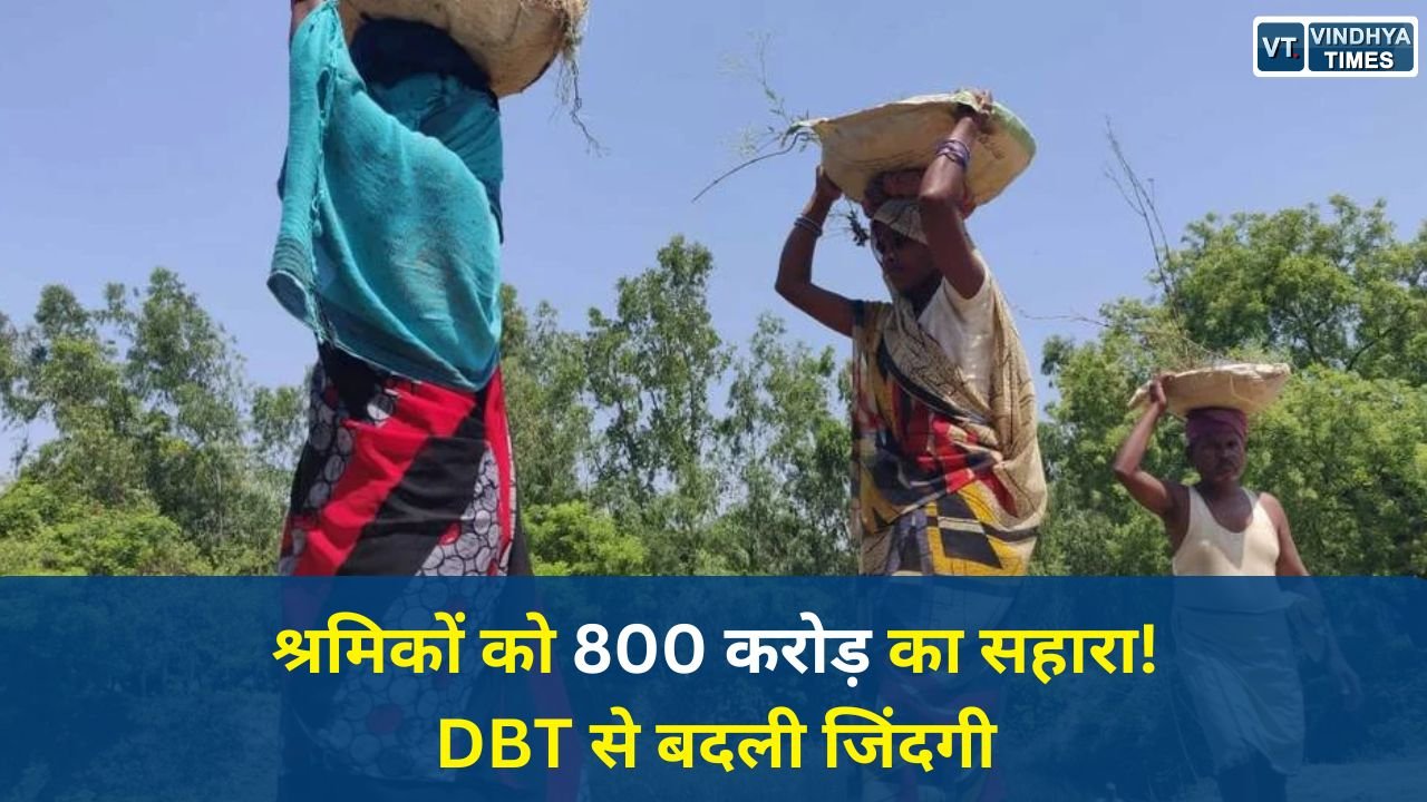 CG News: श्रमिक दिवस पर बड़ा ऐलान, 800 करोड़ DBT से श्रमिकों को सीधी मदद