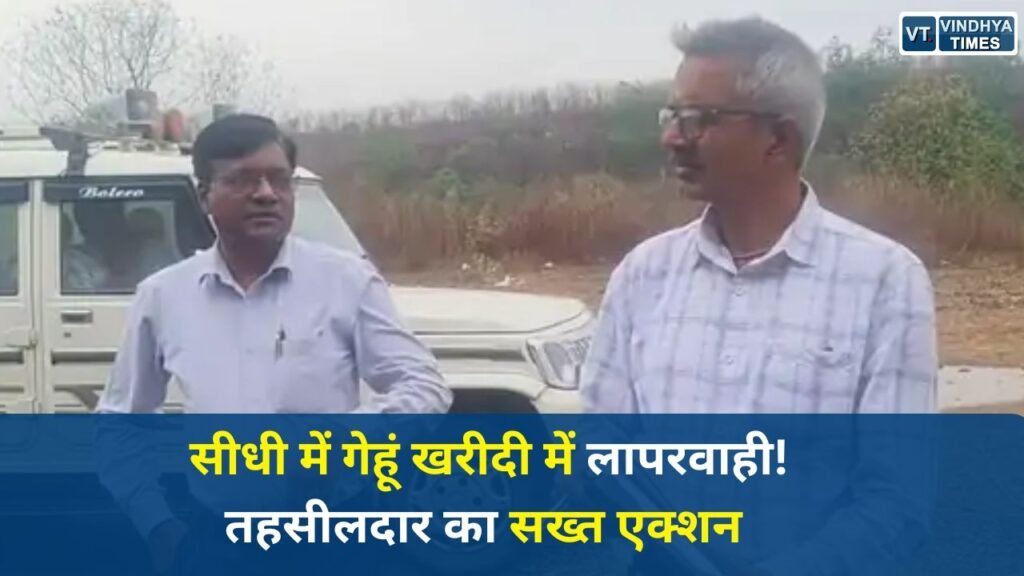 Sidhi News: सीधी में गेहूं खरीदी केंद्र का निरीक्षण, बारिश से भीगा अनाज, लापरवाही पर सख्त चेतावनी