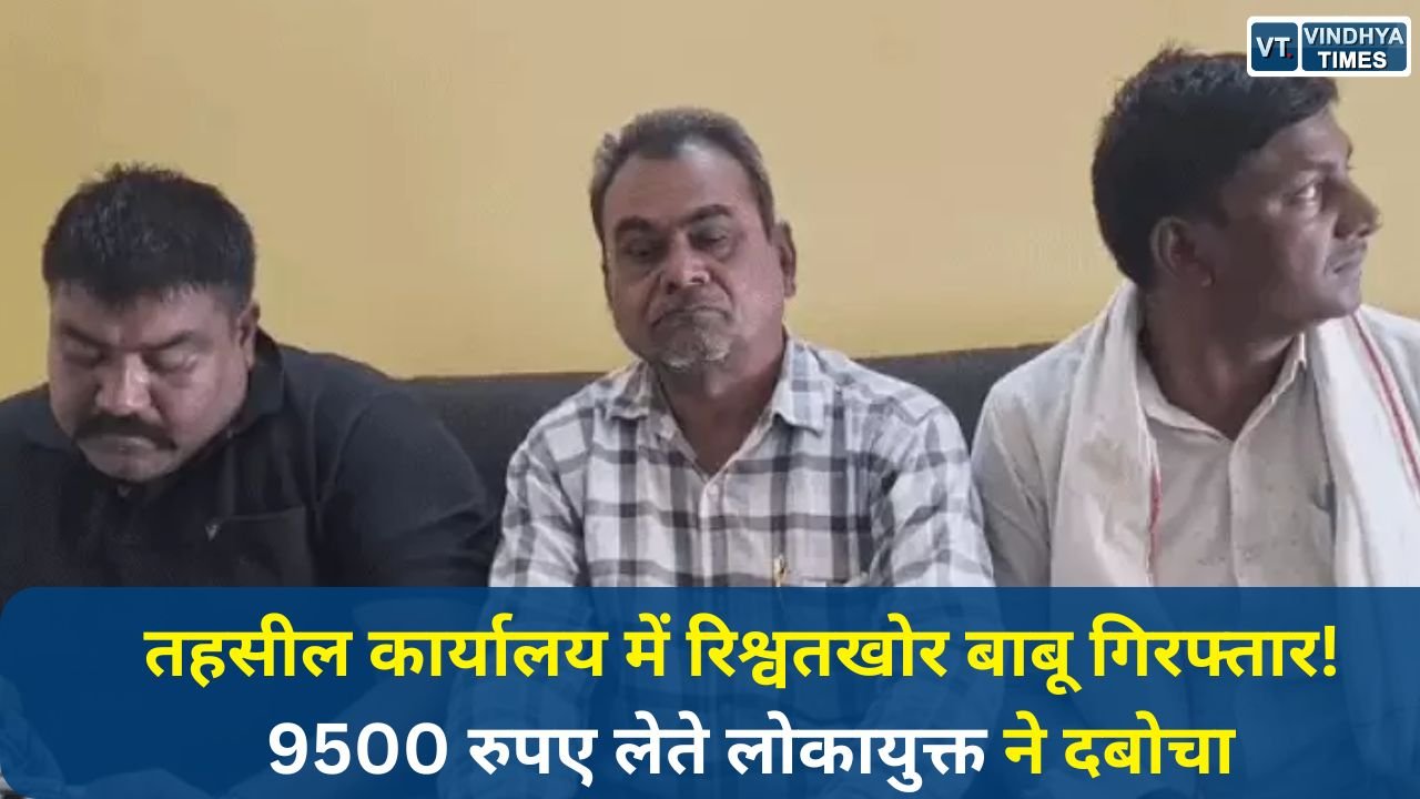 Rewa News: रीवा के त्योंथर तहसील कार्यालय में लोकायुक्त की बड़ी कार्रवाई, बाबू अनिल त्रिपाठी रिश्वत लेते गिरफ्तार
