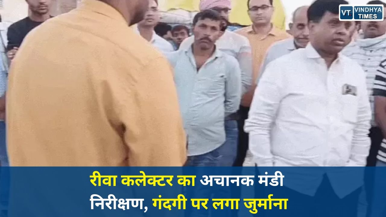 Rewa News: करहिया मंडी पहुंचे रीवा कलेक्टर, गेहूं उपार्जन केंद्र की व्यवस्थाओं का किया औचक निरीक्षण