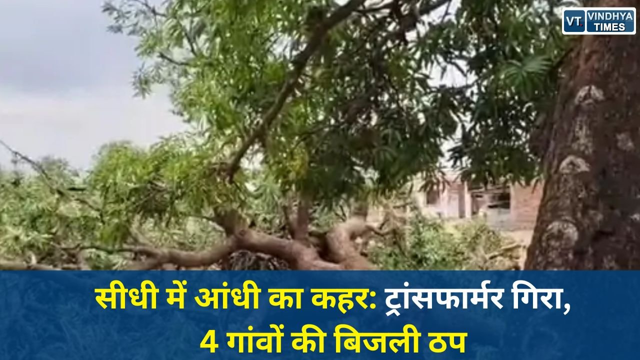 Sidhi News: सीधी में तेज आंधी-तूफान से भारी नुकसान, ट्रांसफार्मर और कई बिजली पोल टूटे