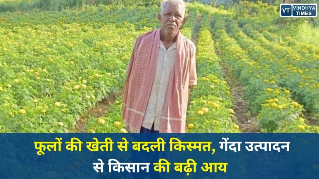 CG News: छत्तीसगढ़ में खेती का नया मॉडल, गेंदा उत्पादन से किसान की बढ़ी आय
