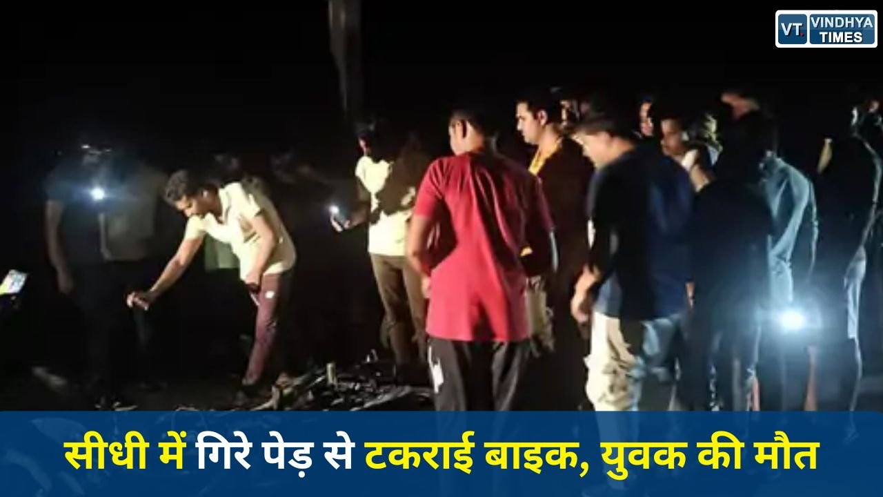 Sidhi News: सीधी में दर्दनाक हादसा, सड़क पर गिरे पेड़ से टकराई बाइक, युवक की मौके पर मौत