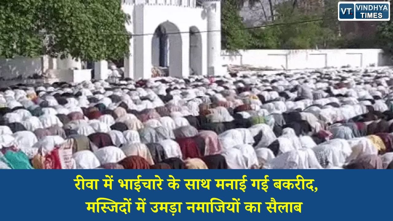 Rewa News: रीवा में भाईचारे के साथ मनाई गई बकरीद, मस्जिदों में उमड़ा नमाजियों का सैलाब