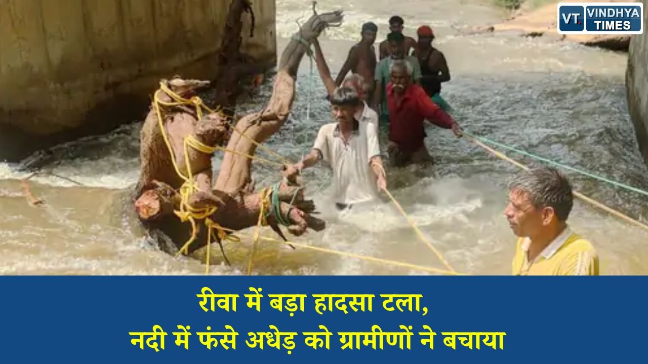 Rewa News: अतरैला में नदी के गहरे हिस्से में फंसा व्यक्ति, ग्रामीणों की बहादुरी से बची जान