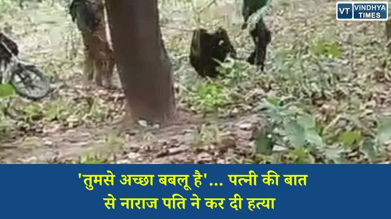 Sidhi News: सीधी में पत्नी की हत्या का खुलासा: तेंदूपत्ता तोड़ने के बहाने जंगल ले गया, मारकर गुफा में छिपाया शव