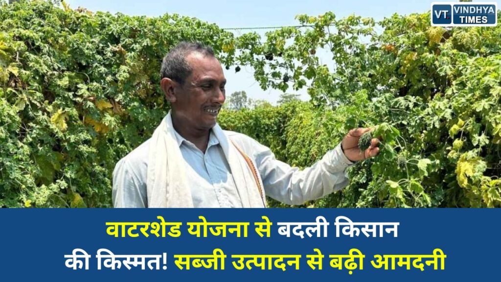 CG News: वाटरशेड योजना बनी किसान छबी लाल की समृद्धि का आधार, बदली जिंदगी