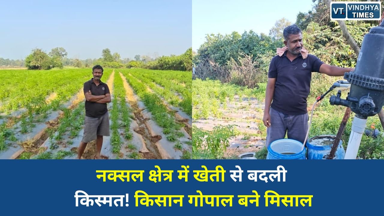 CG News: नक्सल प्रभावित क्षेत्र में आधुनिक खेती से किसान गोपाल एर्रागोला की सफलता की कहानी