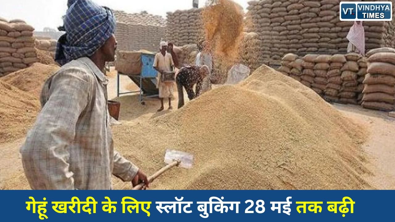 MP News: मध्य प्रदेश सरकार का बड़ा फैसला, गेहूं उपार्जन स्लॉट बुकिंग की अंतिम तिथि बढ़ाई गई