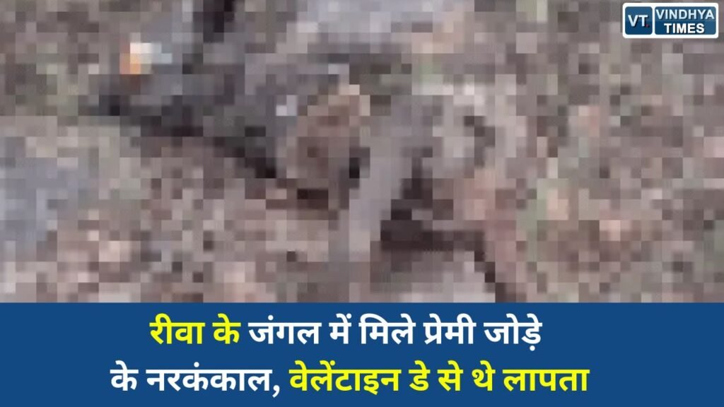 Rewa News: रीवा में जंगल से मिले किशोर प्रेमी जोड़े के नरकंकाल, चार महीने से थे गायब