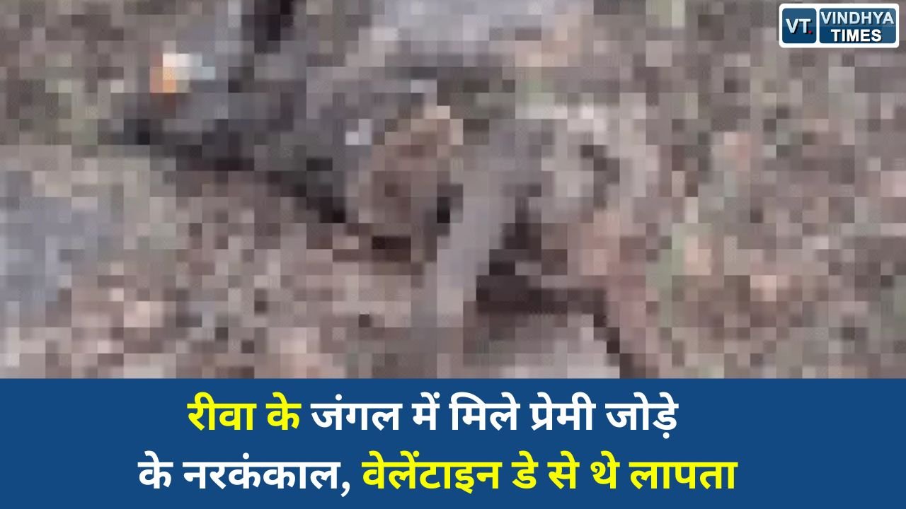 Rewa News: रीवा में जंगल से मिले किशोर प्रेमी जोड़े के नरकंकाल, चार महीने से थे गायब