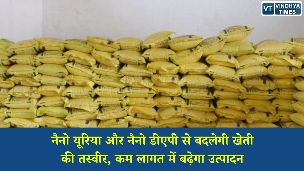 CG News: नैनो यूरिया और नैनो डीएपी से बदलेगी खेती की तस्वीर, कम लागत में बढ़ेगा उत्पादन