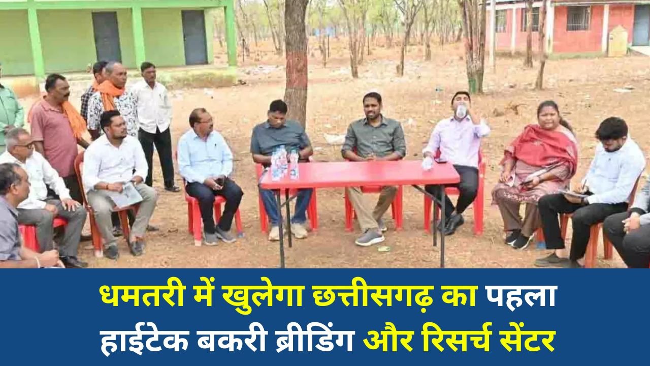 CG News: धमतरी में खुलेगा छत्तीसगढ़ का पहला हाईटेक बकरी ब्रीडिंग और रिसर्च सेंटर